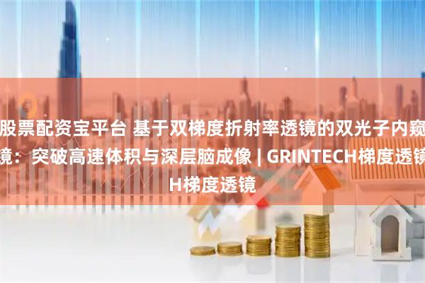 股票配资宝平台 基于双梯度折射率透镜的双光子内窥镜：突破高速体积与深层脑成像 | GRINTECH梯度透镜