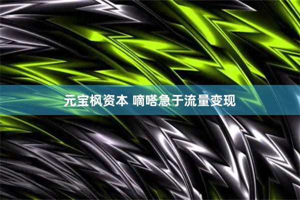 元宝枫资本 嘀嗒急于流量变现